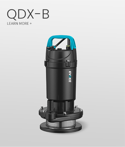 QDX-B