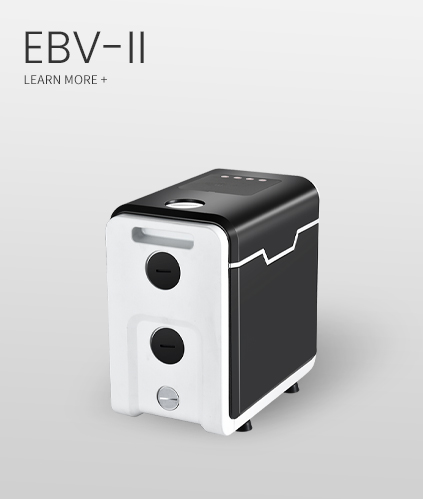 EBV-II