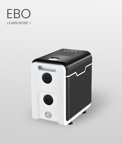 EBO